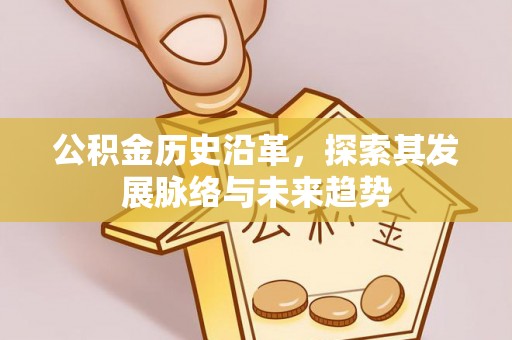 雁峰公积金历史沿革，探索其发展脉络与未来趋势