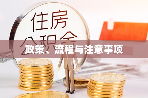 雁峰政策、流程与注意事项