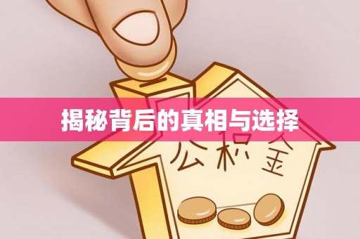 雁峰揭秘背后的真相与选择
