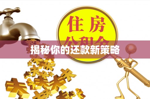 雁峰揭秘你的还款新策略