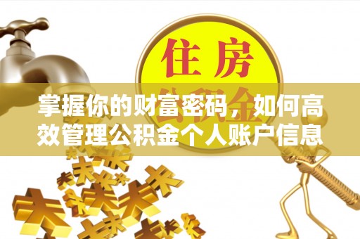 雁峰掌握你的财富密码，如何高效管理公积金个人账户信息