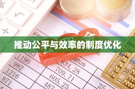 雁峰推动公平与效率的制度优化