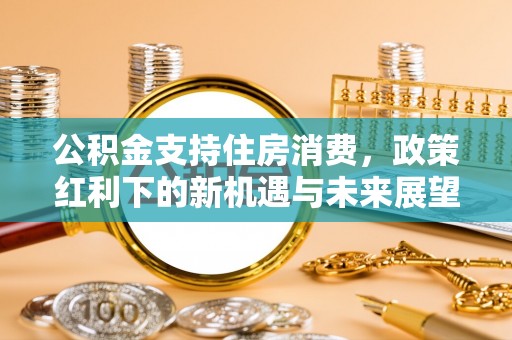 雁峰公积金支持住房消费，政策红利下的新机遇与未来展望
