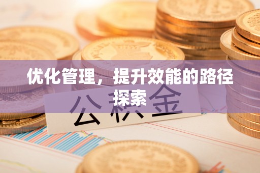 雁峰优化管理，提升效能的路径探索