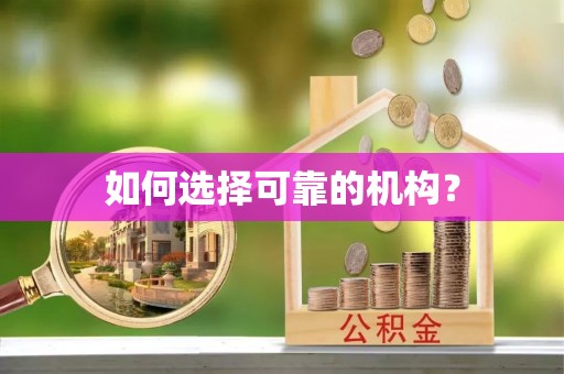 雁峰如何选择可靠的机构？