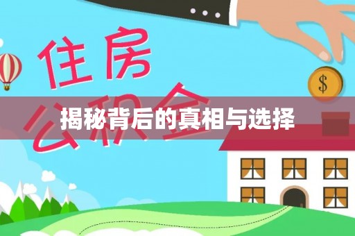 雁峰揭秘背后的真相与选择
