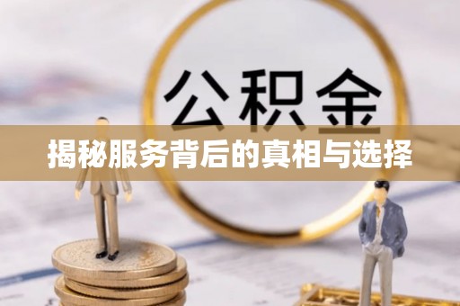 雁峰揭秘服务背后的真相与选择