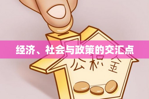 雁峰经济、社会与政策的交汇点