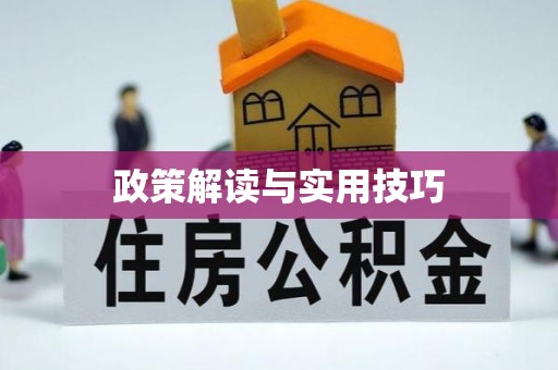 雁峰政策解读与实用技巧