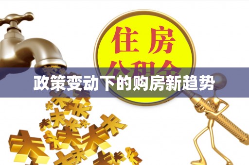 雁峰政策变动下的购房新趋势