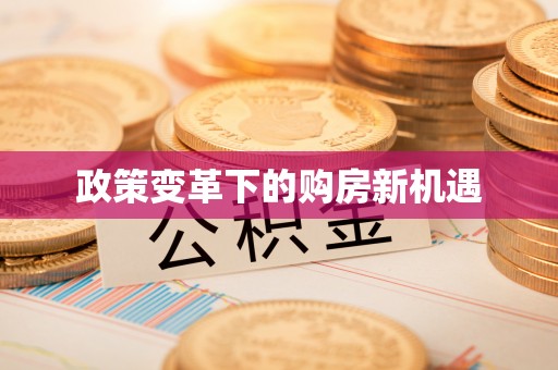 雁峰政策变革下的购房新机遇