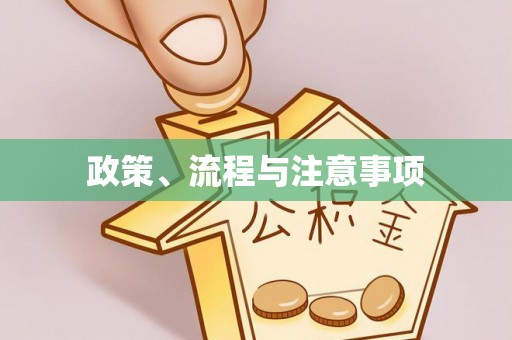 雁峰政策、流程与注意事项