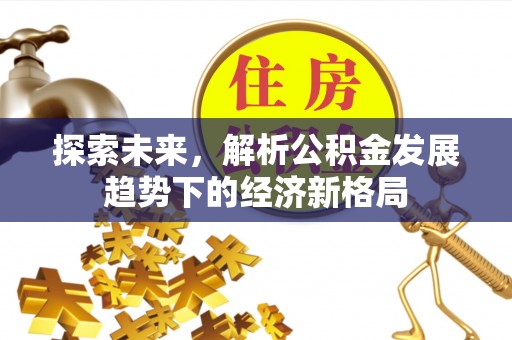 雁峰探索未来，解析公积金发展趋势下的经济新格局