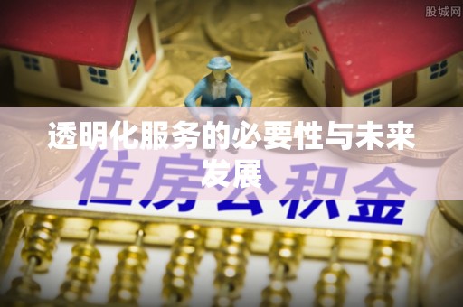 雁峰透明化服务的必要性与未来发展