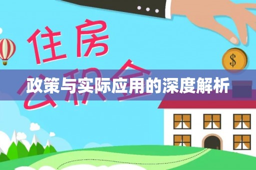 雁峰政策与实际应用的深度解析