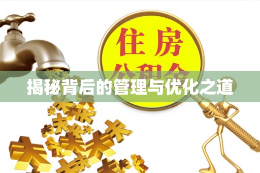 雁峰揭秘背后的管理与优化之道
