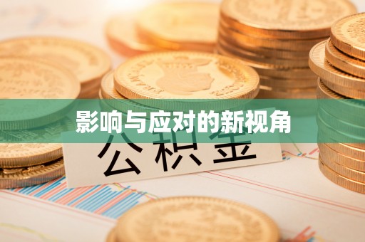 雁峰影响与应对的新视角