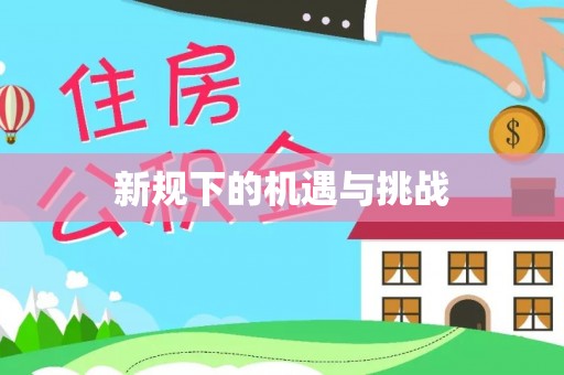 雁峰新规下的机遇与挑战