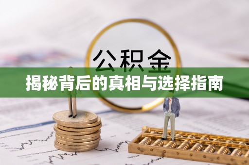 雁峰揭秘背后的真相与选择指南