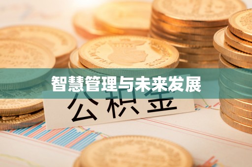 雁峰智慧管理与未来发展