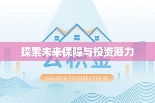 雁峰探索未来保障与投资潜力