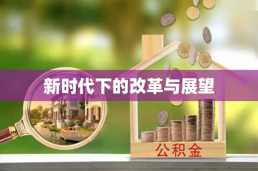 雁峰新时代下的改革与展望