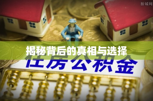 雁峰揭秘背后的真相与选择