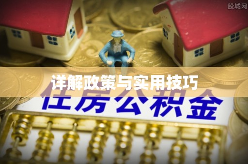 雁峰详解政策与实用技巧