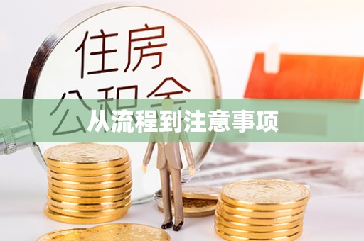 雁峰从流程到注意事项