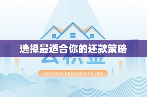 雁峰选择最适合你的还款策略