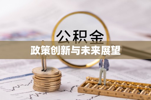 雁峰政策创新与未来展望