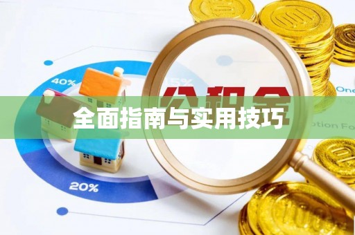 雁峰全面指南与实用技巧