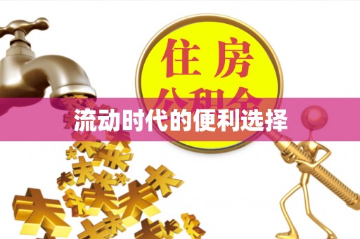 雁峰流动时代的便利选择